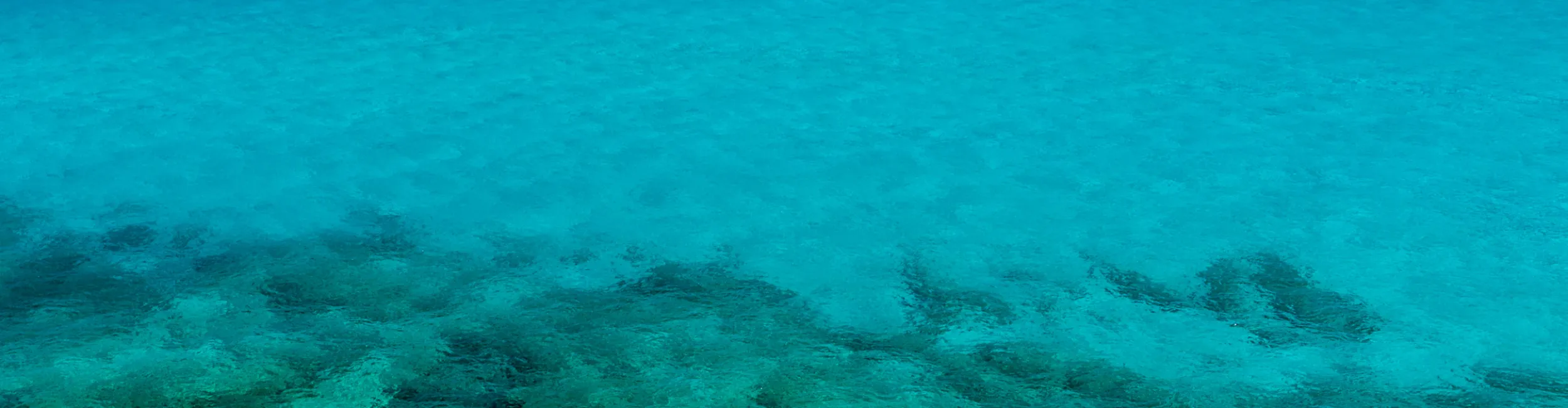 Memorial background